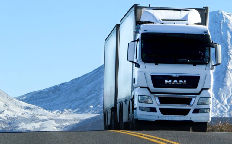 Windscreen Chip Repair Windscreen Chip Repair